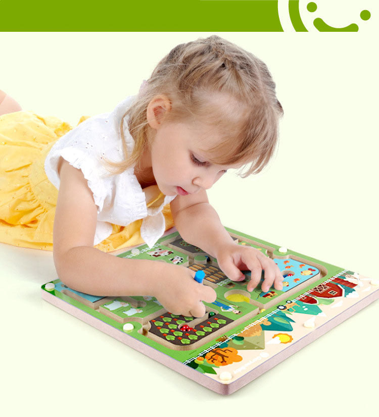 Magnetic Doolhof Puzzelspel