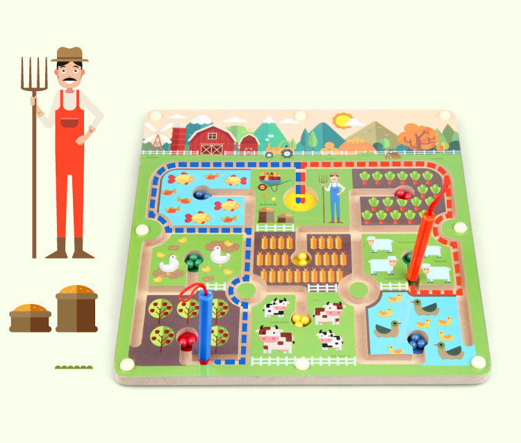 Magnetic Doolhof Puzzelspel