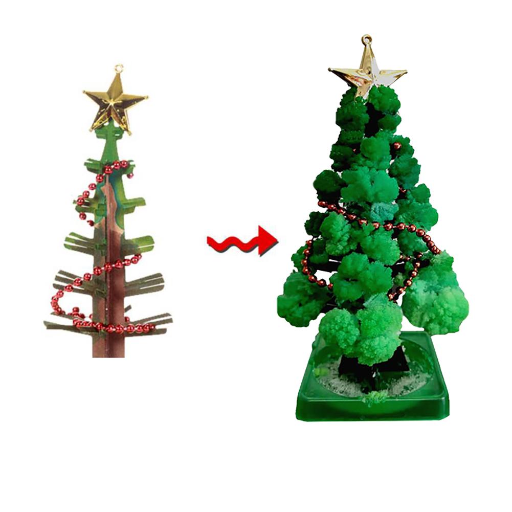 Mini Kerstboom Kweker - Laat je eigen kerstboom groeien! - Kerstboom kweekset (1+1 GRATIS)