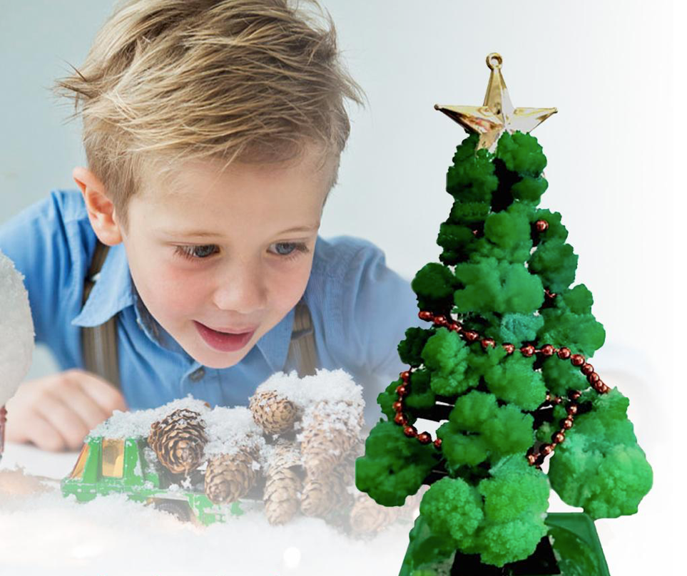 Mini Kerstboom Kweker - Laat je eigen kerstboom groeien! - Kerstboom kweekset (1+1 GRATIS)