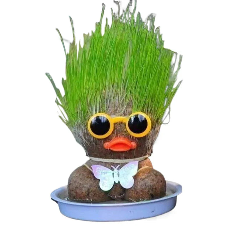 Mini Planten Set - Zorg voor je Groene Vrienden - Decoratieve Planten Thuis