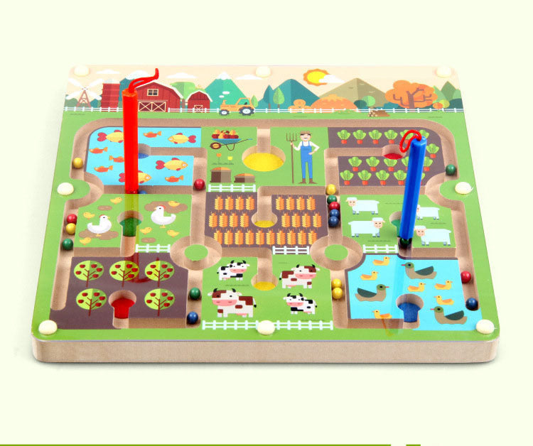 Magnetic Doolhof Puzzelspel
