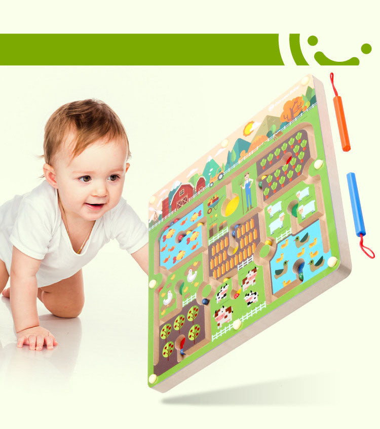 Magnetic Doolhof Puzzelspel
