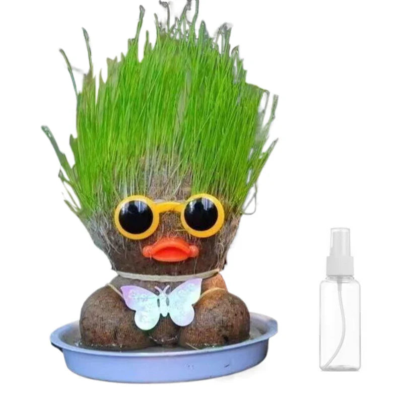 Mini Planten Set - Zorg voor je Groene Vrienden - Decoratieve Planten Thuis