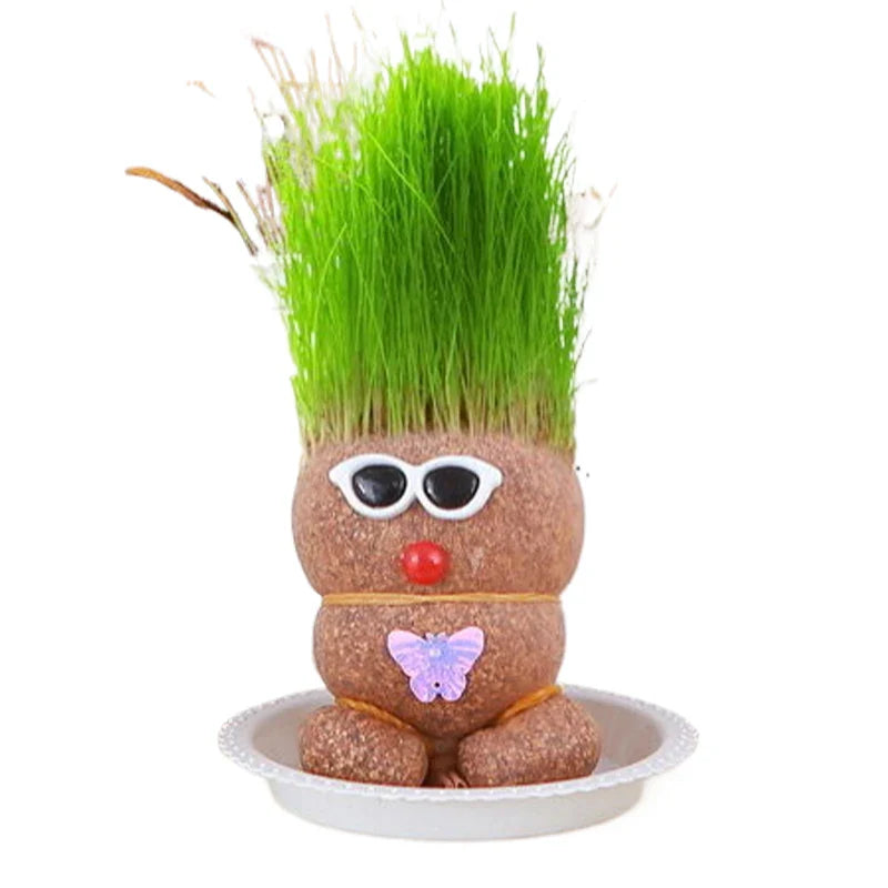 Mini Planten Set - Zorg voor je Groene Vrienden - Decoratieve Planten Thuis