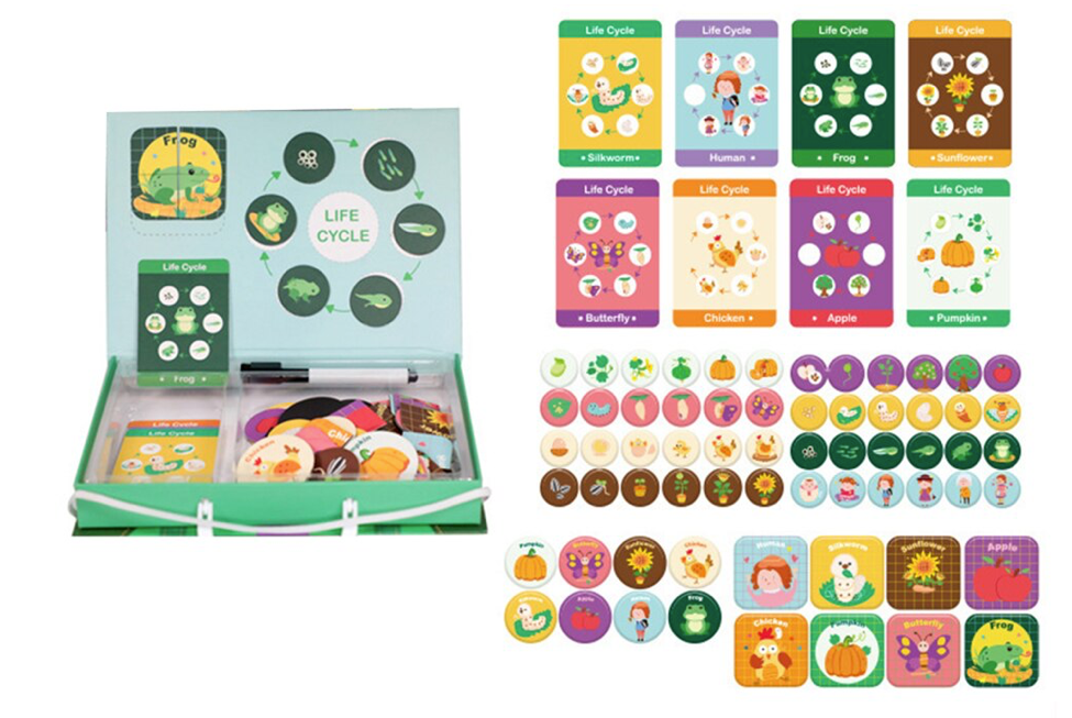 Levenscyclus Educatieve Puzzelbox – Leer op Speelse Wijze Over Natuurlijke Cycli