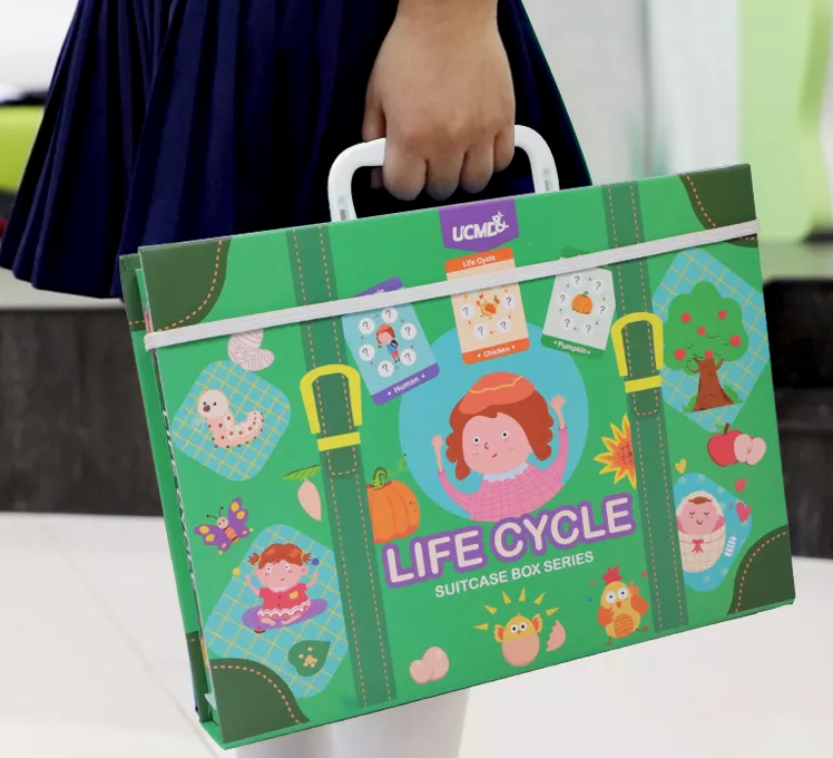 Levenscyclus Educatieve Puzzelbox – Leer op Speelse Wijze Over Natuurlijke Cycli