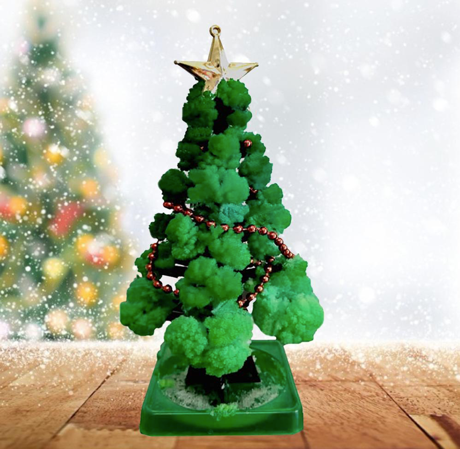Mini Kerstboom Kweker - Laat je eigen kerstboom groeien! - Kerstboom kweekset (1+1 GRATIS)