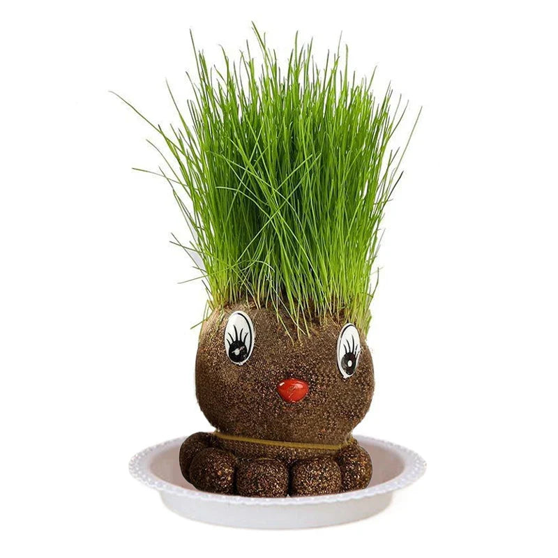 Mini Planten Set - Zorg voor je Groene Vrienden - Decoratieve Planten Thuis