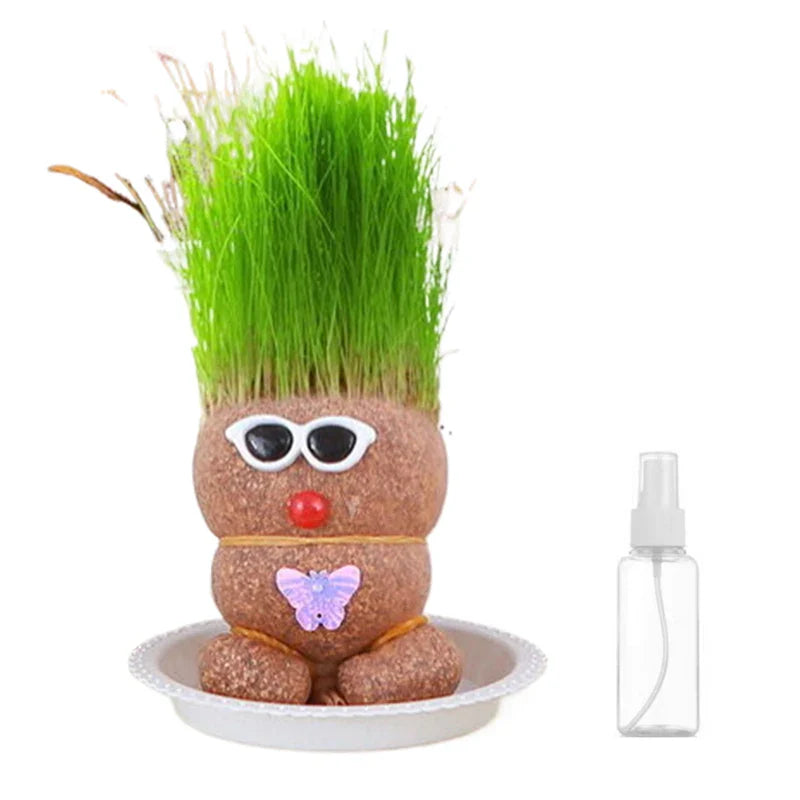Mini Planten Set - Zorg voor je Groene Vrienden - Decoratieve Planten Thuis