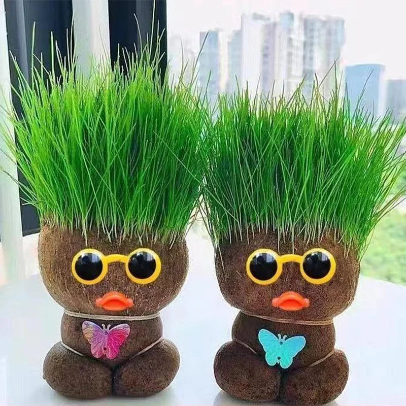 Mini Planten Set - Zorg voor je Groene Vrienden - Decoratieve Planten Thuis
