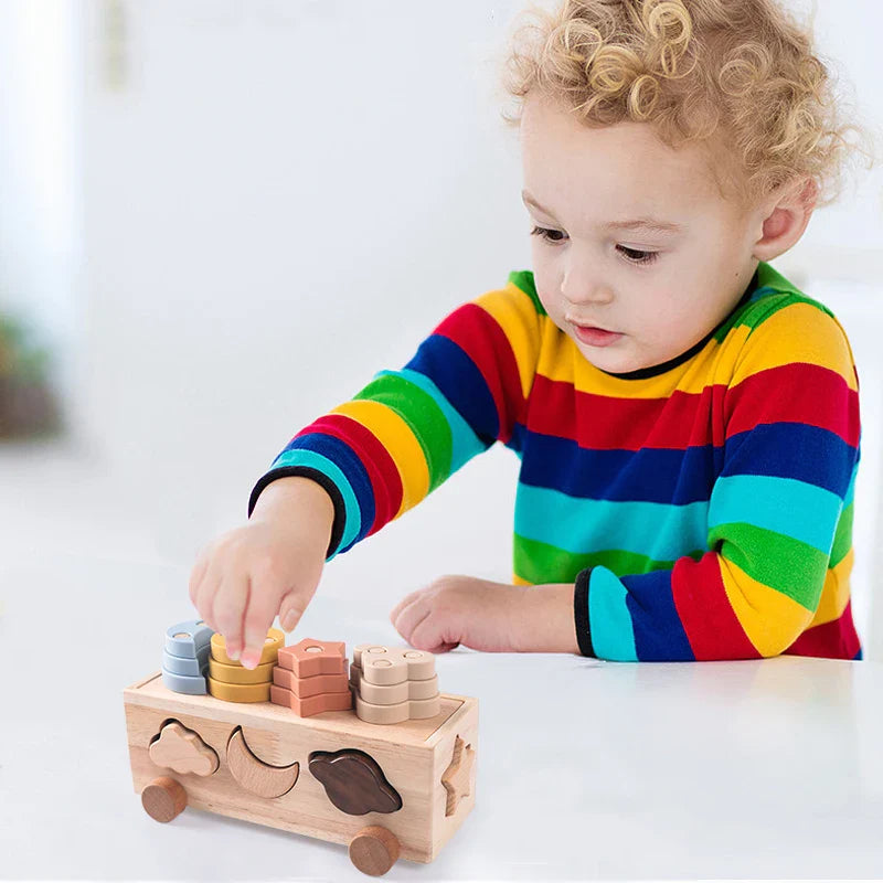Speels Sorteren - Educatief Sorteerspel voor Kinderen