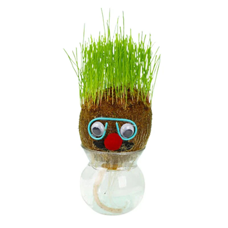 Mini Planten Set - Zorg voor je Groene Vrienden - Decoratieve Planten Thuis